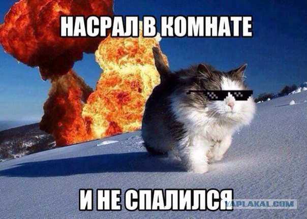 Смешные картинки
