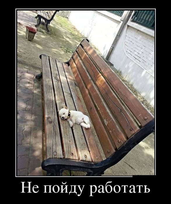 Подборка демотиваторов