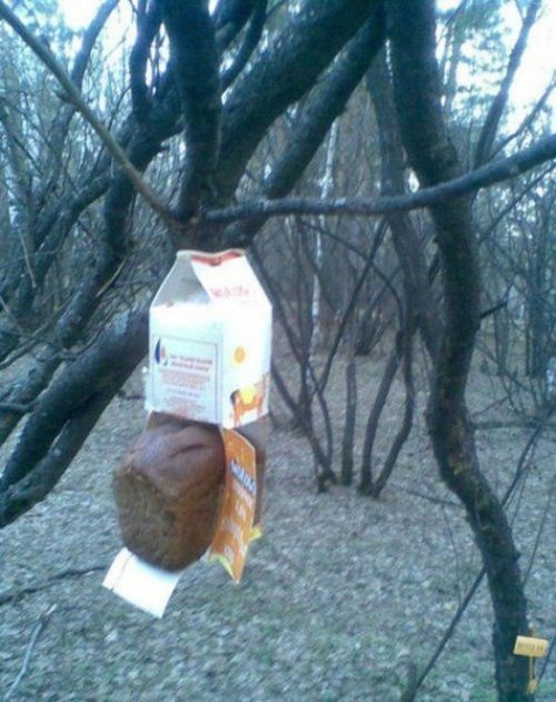 Весёлые картинки