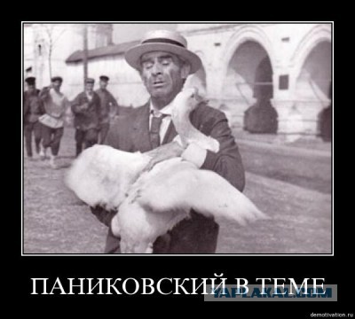 Забавные картинки из сети