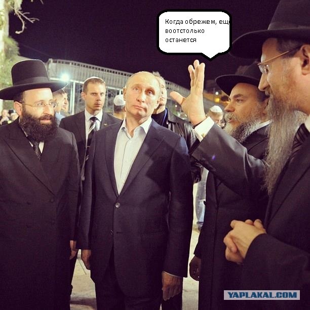 Свой среди своих