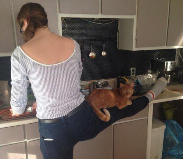 Веселости попавшиеся на глаза сегодня
