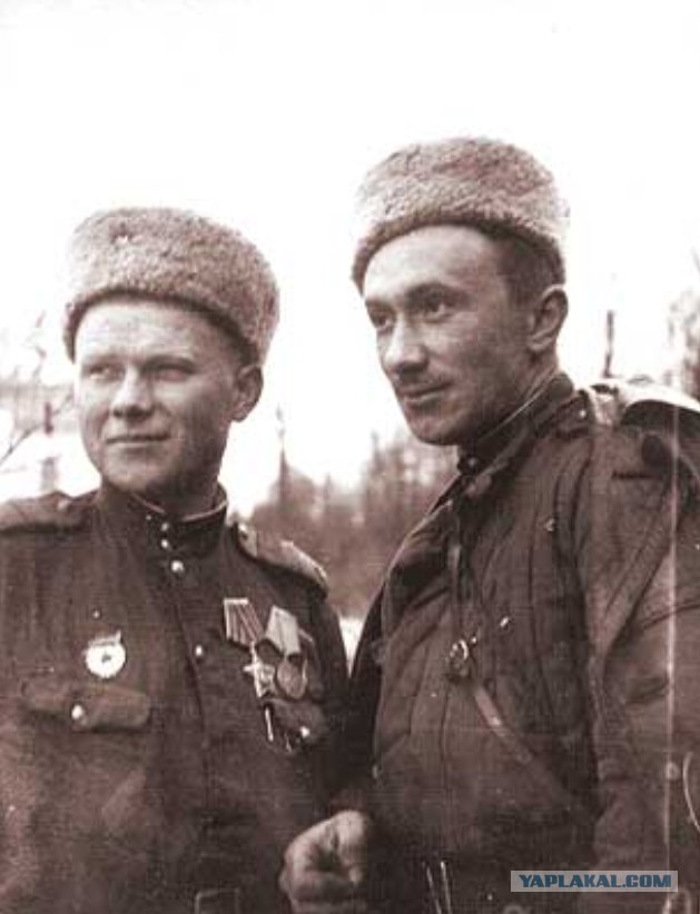 Отечественные знаменитости на войне.
