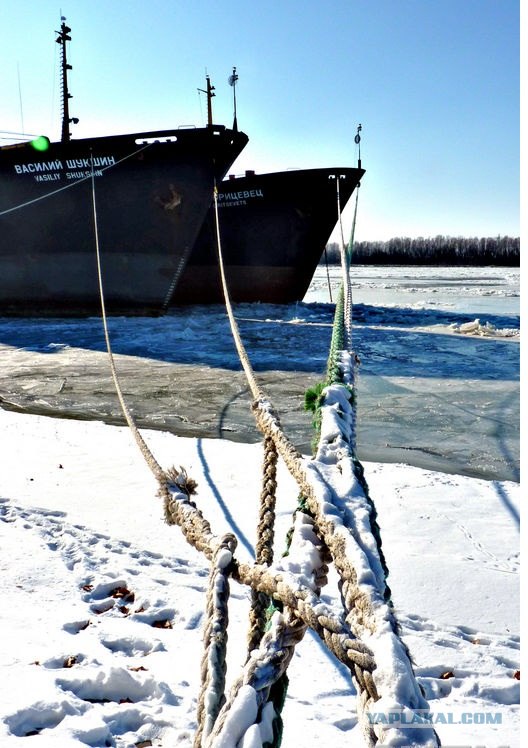 Черное море... замерзло!