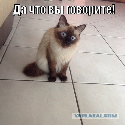 Вся правда об электронных сигаретах