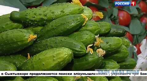 Тёща написала на меня заявление в полицию