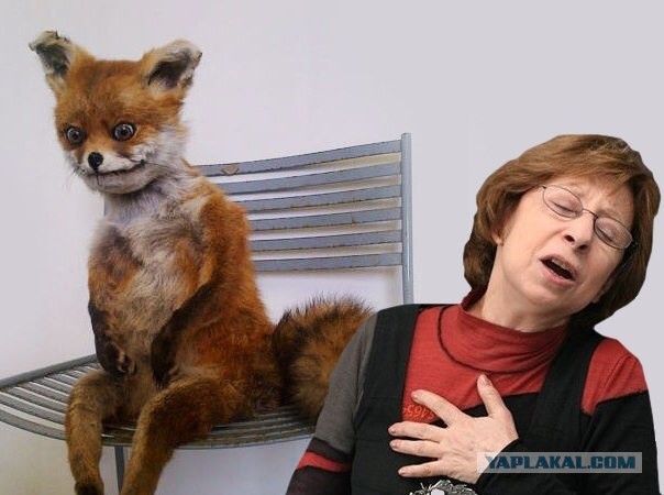 Спасибо что живой