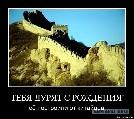Смеялись над тем фактом, что укры строят стену на