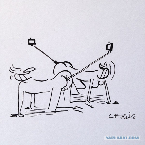 Cелфи-палки