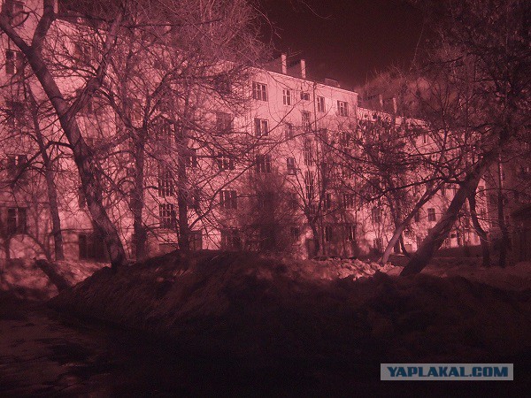 Искусство инфракрасной фотографии