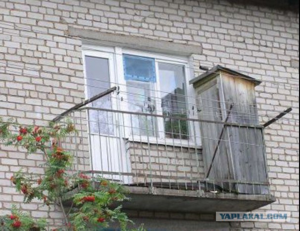 Подборка прикольных фото на пятницу
