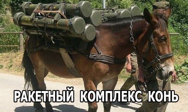 Подборка Картинок из сети