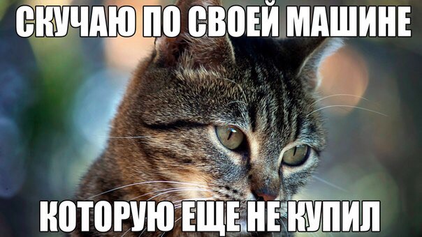 Веселые картинки