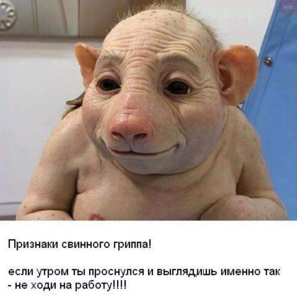 Картинки на пятницу
