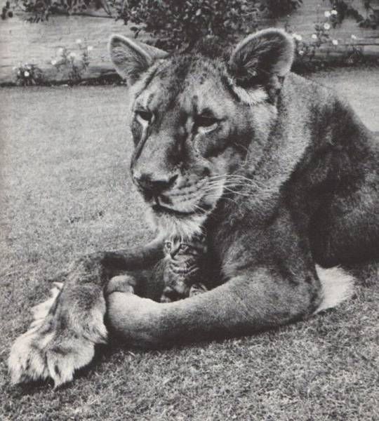 Картинки из сети (07.04.16)