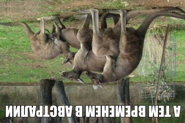 Удивительные факты об Австралии
