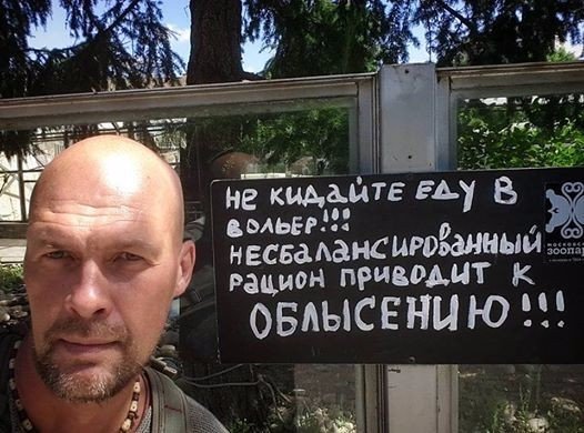 Ассорти картинок из сети
