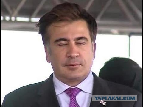 Спасенный из лесного пожара медвежонок не отпускает своего спасителя