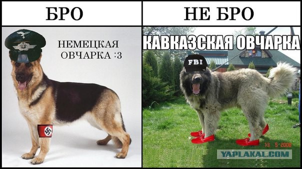 Всяко-разно из интернета