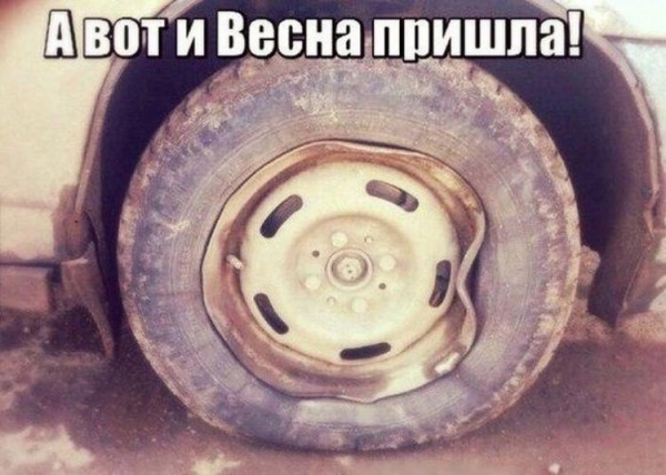 Картинок из интернетов немножко