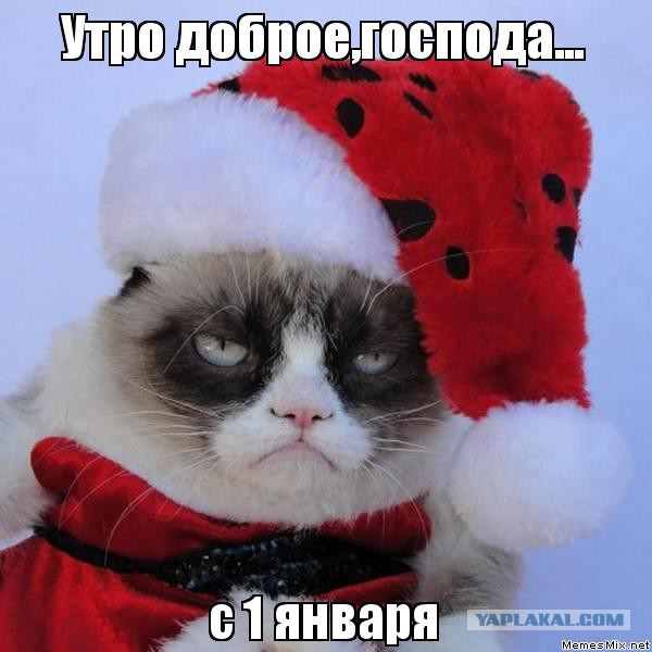 Ну что,17 год наступил,будем олигархов и всякую нечисть вешать?