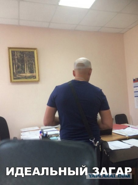Картинки из инета.
