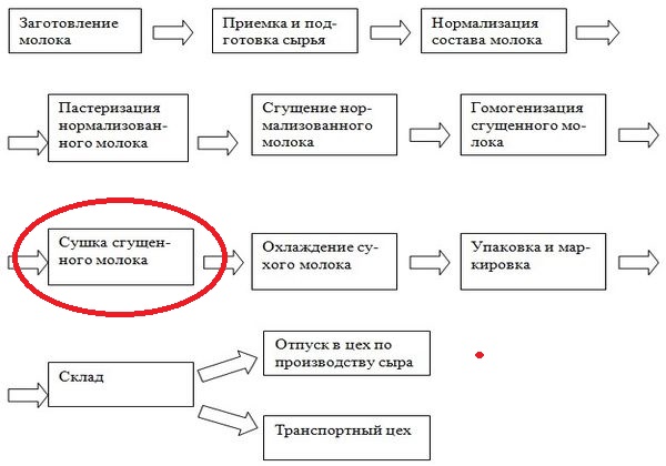 "Это разрушает наш рынок". Глава Минсельхоза РФ высказал претензии к белорусской "молочке"