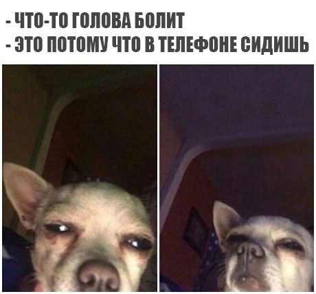 Немного картинок в этот четверг
