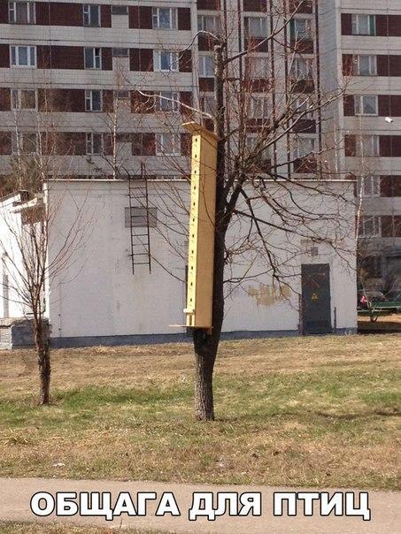 Картинки по-приколу