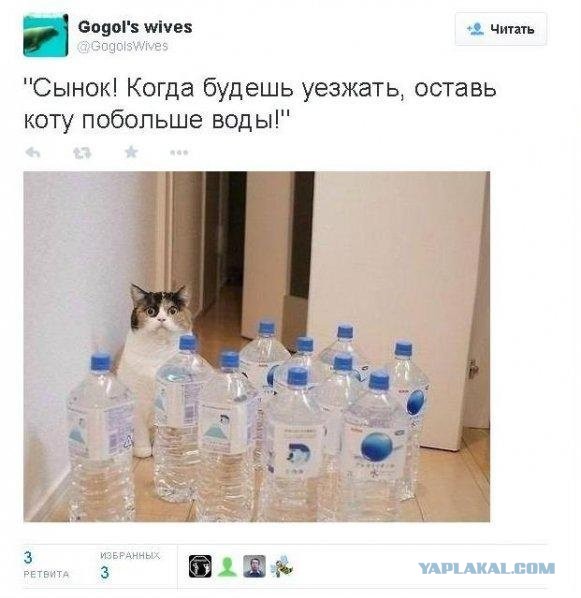 Вода, ты куда?