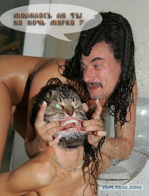 Злой кот