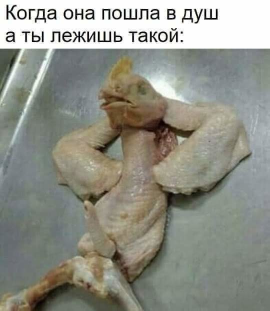 Не шутите с птицами!