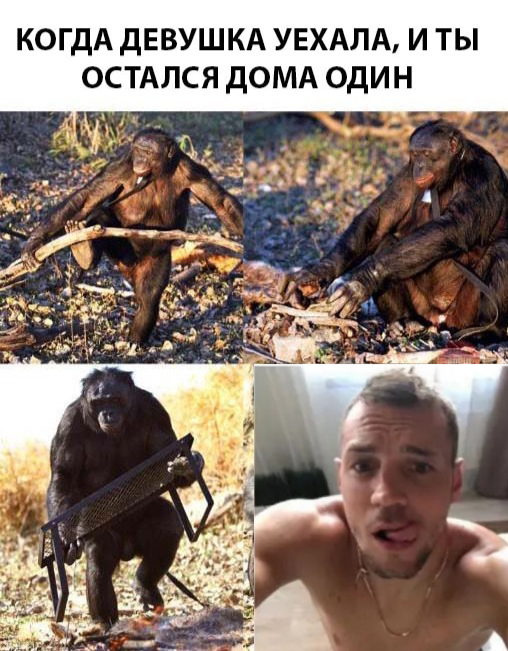 Бредзона 11.11.2020