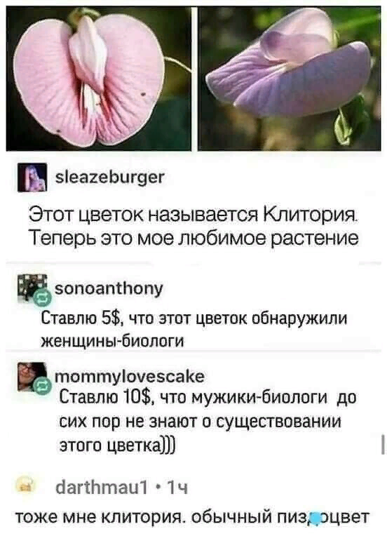 Бредзона 20.01.2021