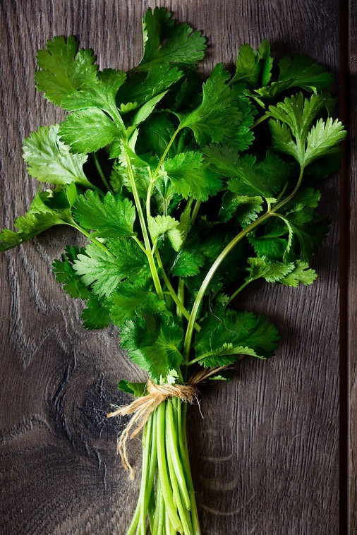 Карнавальных птичек пост