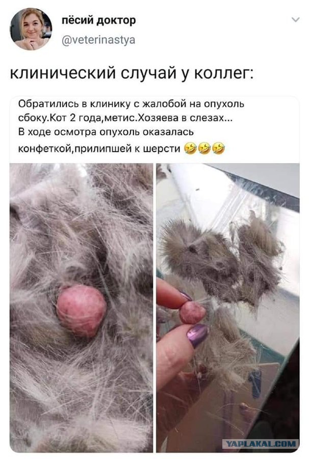В наши руки попал сенсационный материал
