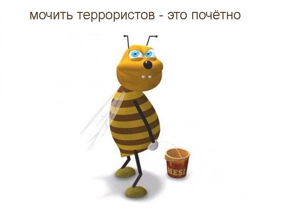 Бой с террористами в Дагестане