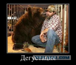 Тигр отужинал дрессировщиком