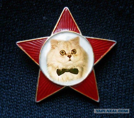 Теперь я тоже раб
