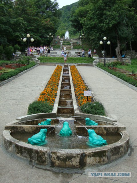 Кавказ-2012