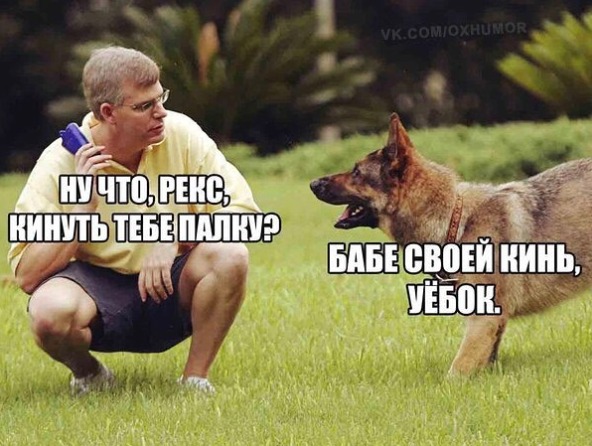 Забавные комментарии из социальных сетей (06.02.23)
