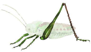 Я тоже ох*ел