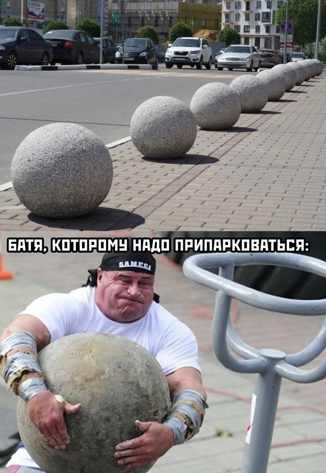 Весёлый полтишок 22.11.24