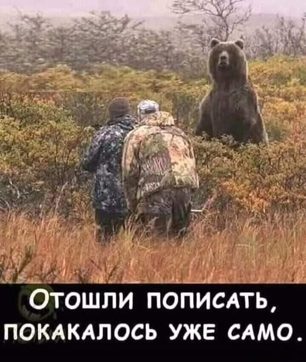 Завалялось тут случайно немного забавных картинок