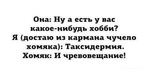 Так себе картинки 31.12.24