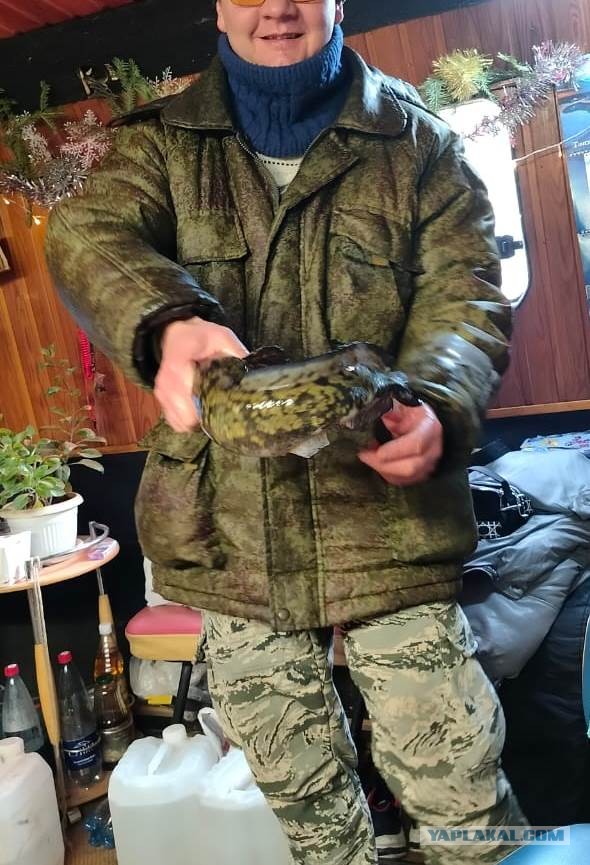 Рыбалка 31 декабря