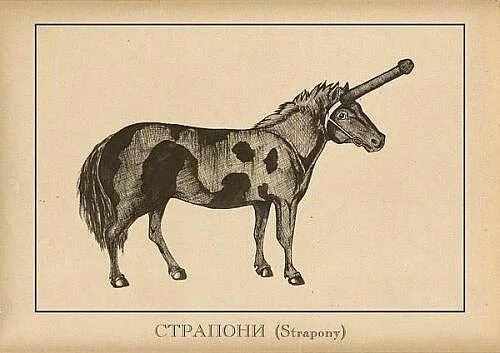 8 картинок животного мира