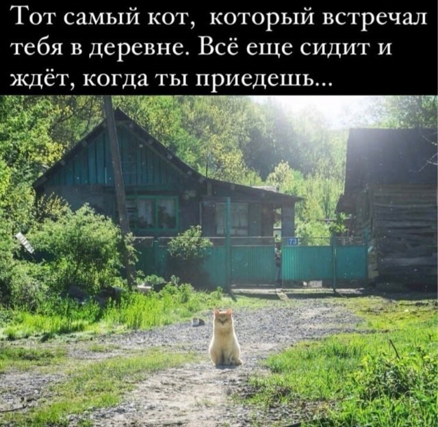 "Приедешь ещё сюда?" - " Даааа!"