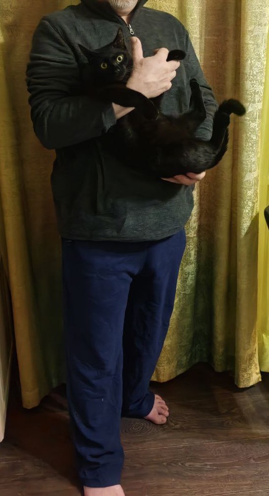 Мода.