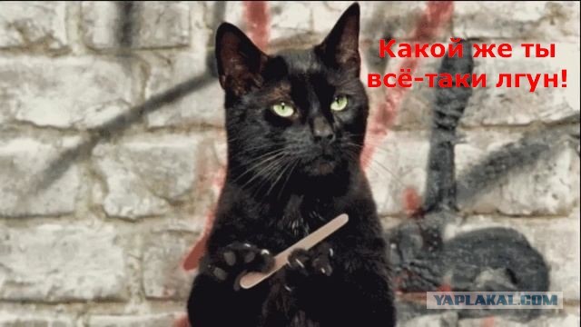Картинки для деградации 176 (разной степени свежести)